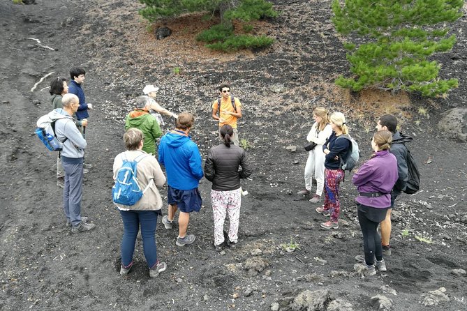 Etna, Wine and Alcantara Tour - From Taormina - What this Etna day tour is really like