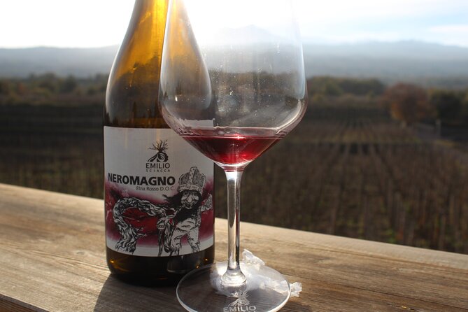 Etna Wine and Alcantara with lunch - Walking the Sartorius craters at 2,000 meters