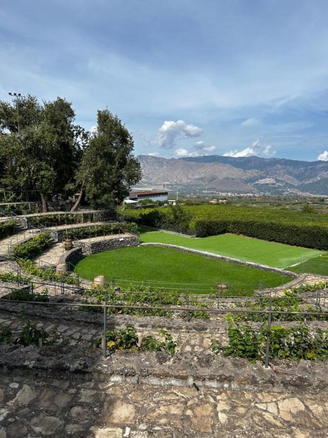 Etna: Wine Tasting and Food Tour - First winery: wine production before lunch