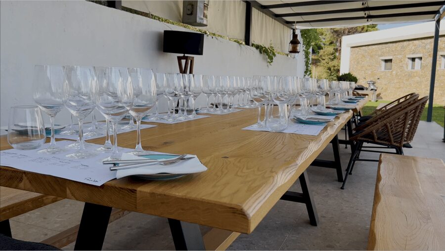 Evening of Wine and Scenic Views in Skiathos - The vineyard and winemaking introduction