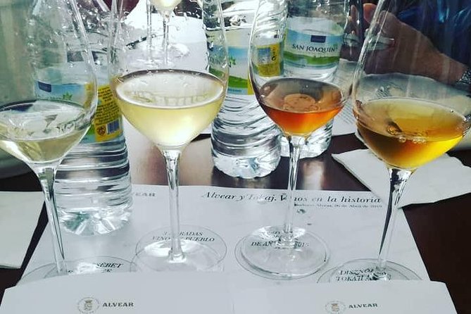 Evening Wine Tasting Córdoba - Is $28.96 a fair price?