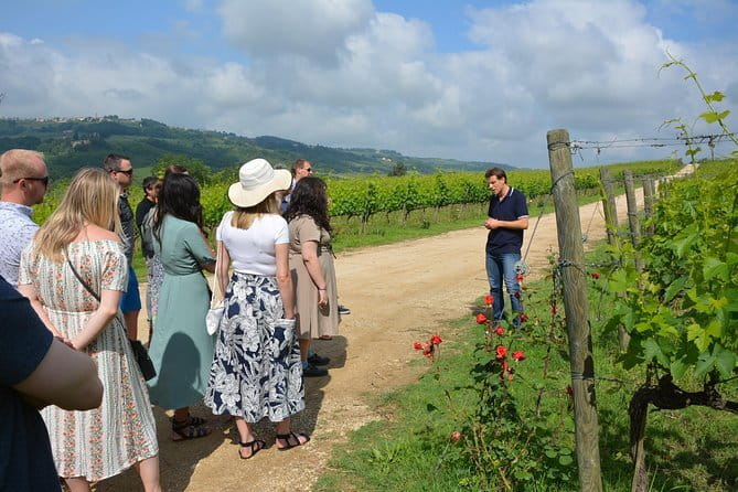Experience Chianti & Cheese w/ 3 wineries & dairy visit—max 8 pp - Three wineries, three chances to compare