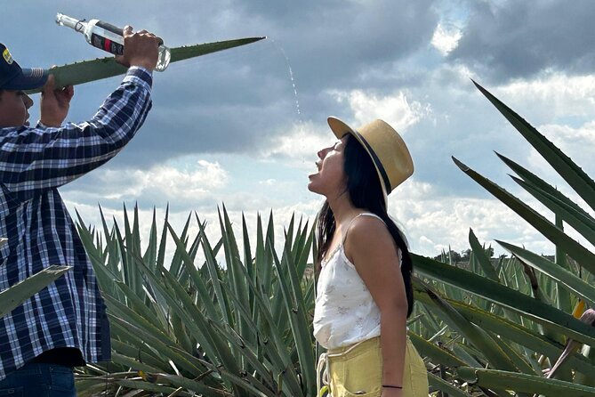 Explore Hierve el Agua, Mitla, Tule, Textile and Mezcal for a day - Mitla and the geometry of Zapotec power
