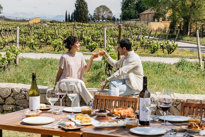 Familia Torres Winery: Gastronomic Tapas & Wine Experience - What the $151.23 price really covers