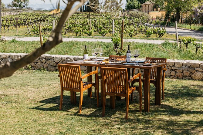 Familia Torres Winery: Gastronomic Tapas & Wine Experience - Who will enjoy this outing most