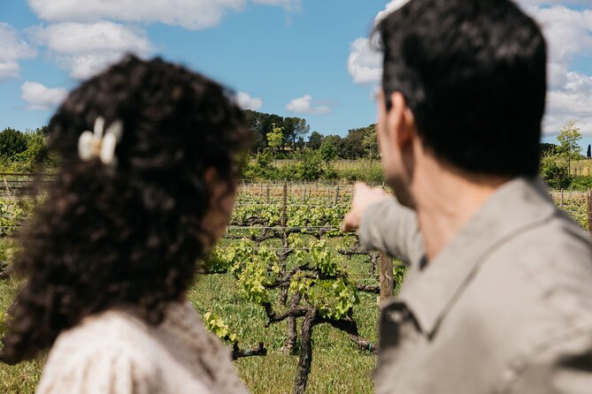 Familia Torres Winery: Gastronomic Tapas & Wine Experience - Timing, group size, and practical details