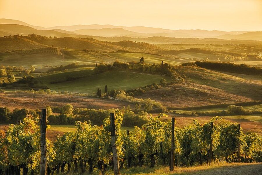 Florence/Badesse: Tuscany Group Vespa Tour with Wine Tasting - Price and what the $123.48 covers