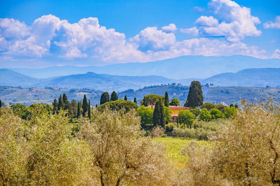 Florence: Chianti E-Bike Tour with Lunch & Two Wine Tastings - Key points to know before booking