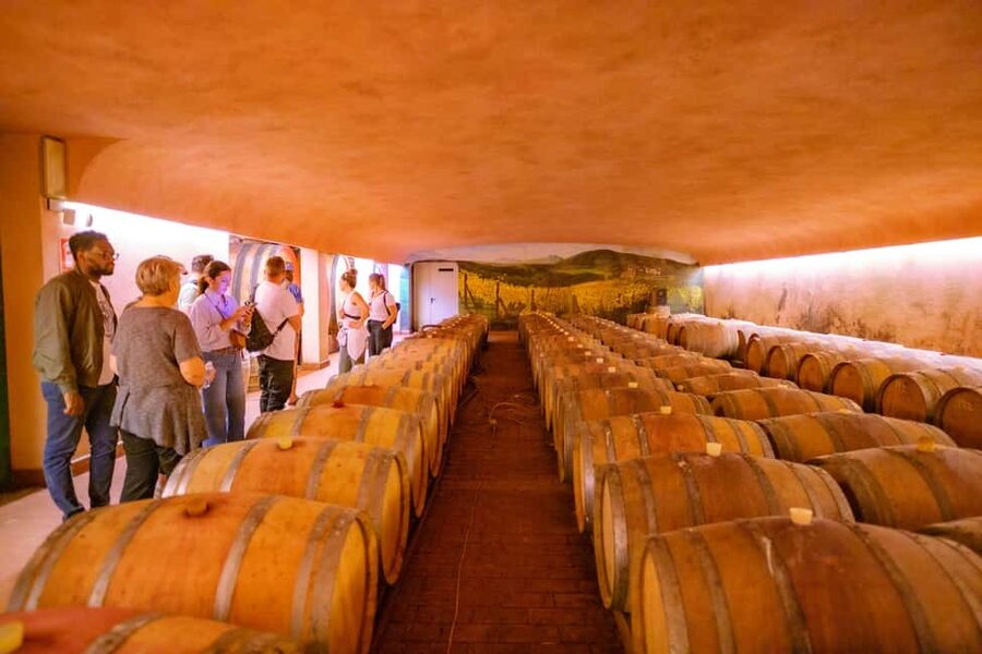 Florence: Chianti E-Bike Tour with Lunch & Two Wine Tastings - What the $116 price buys you