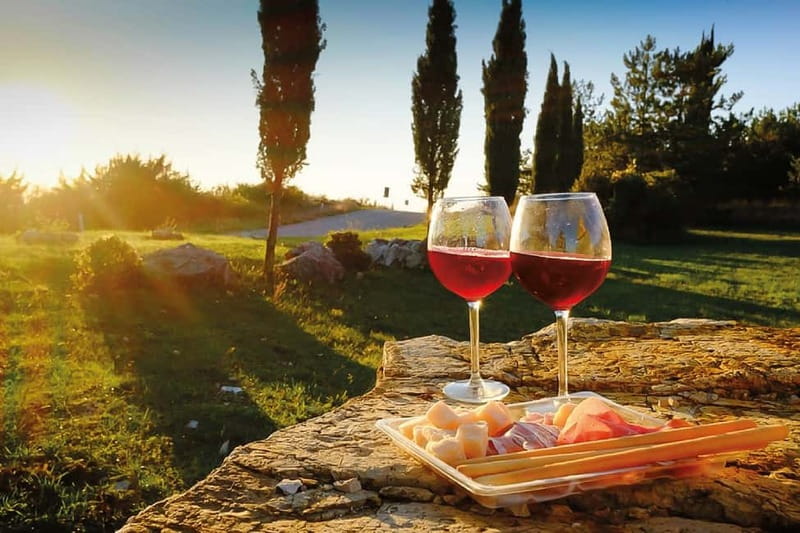 Florence: Chianti Vineyards Tour with Wine Tasting & Dinner - From Florence to the Chianti hills