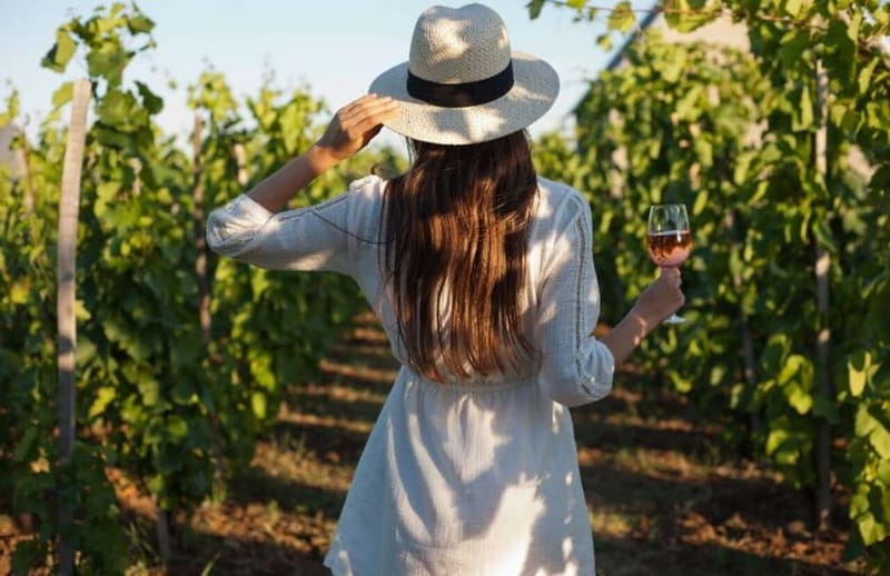 Florence: Chianti Vineyards Tour with Wine Tasting & Dinner - Dinner beneath the vines