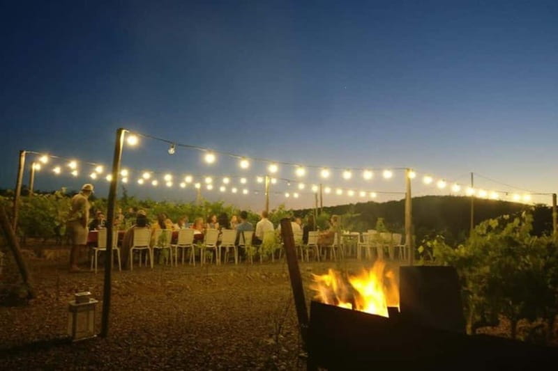 Florence: Chianti Vineyards Tour with Wine Tasting & Dinner - What the evening feels like at the table