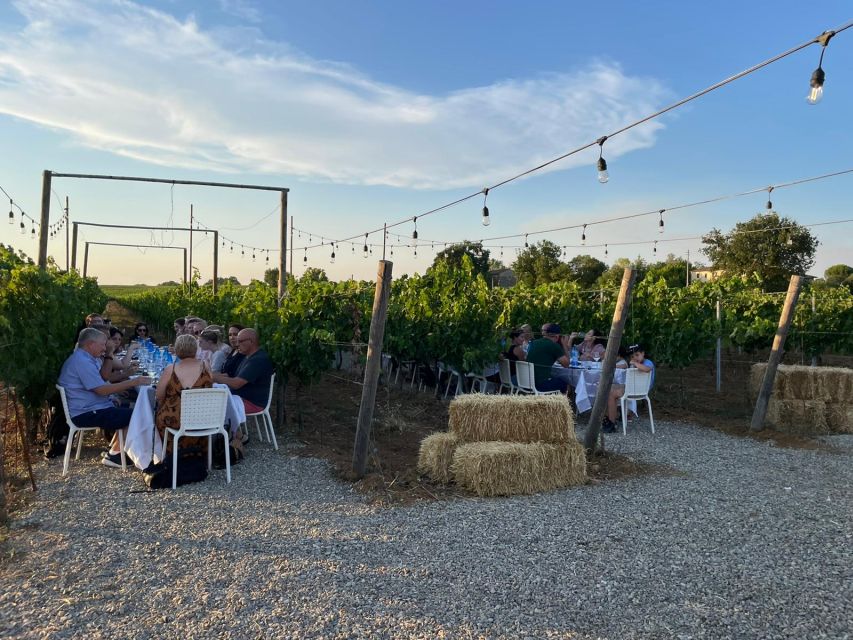 Florence: Chianti Vineyards Tour with Wine Tasting & Dinner - Is $128 a fair price?