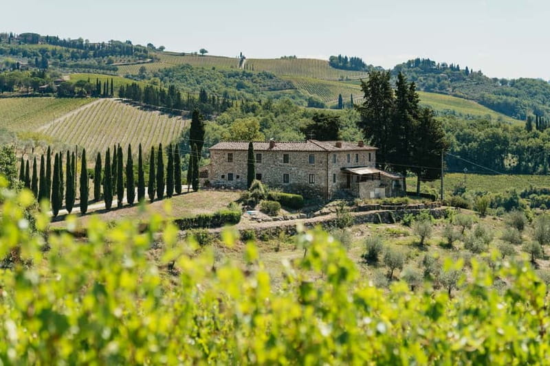 Florence: Chianti Wineries Tour with Wine Tasting - Key points to know before booking