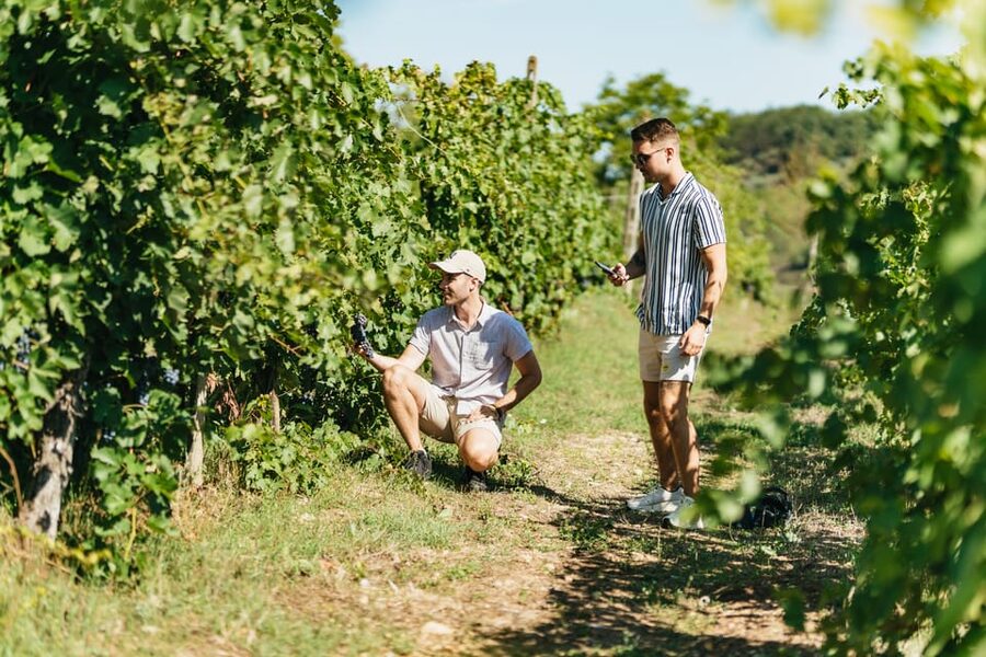 Florence: Chianti Wineries Tour with Wine Tasting - Final call: a smart first taste of Tuscany