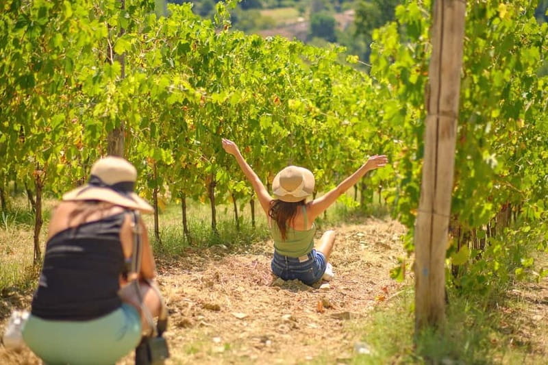 Florence: Chianti Wineries Tour with Wine Tasting - Why this half-day trip works from Florence