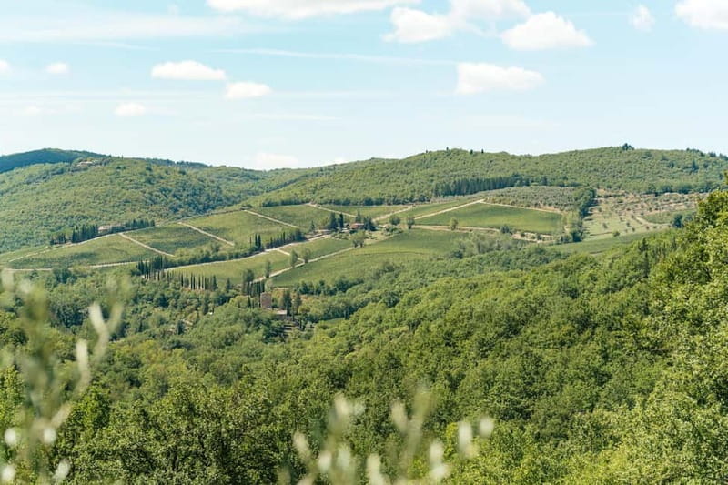 Florence: Chianti Wineries Tour with Wine Tasting - The scenery is part of the ticket
