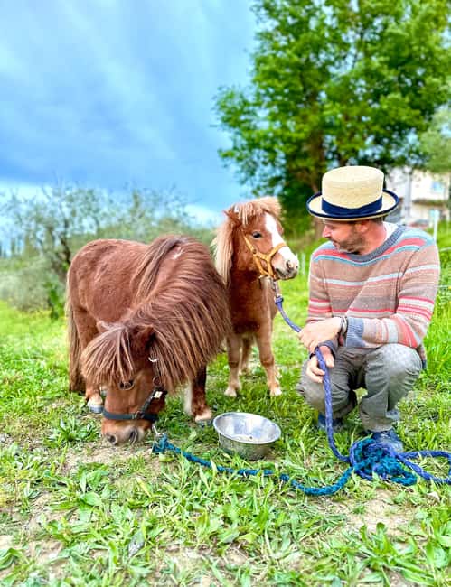 Florence: Countryside Tour with Wine Tasting & Pasta Class - Why this works better than a quick winery stop