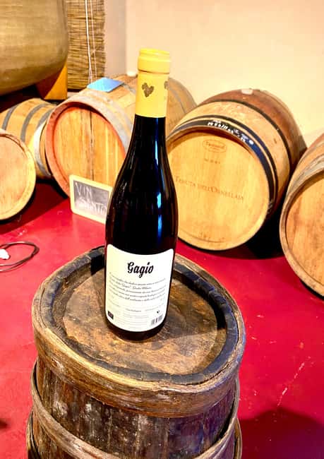 Florence: Countryside Tour with Wine Tasting & Pasta Class - Weather, clothing, and practical comfort