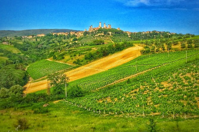 Florence Day Trip: Chianti Wine Tasting, Siena, San Gimignano - Should you book it?