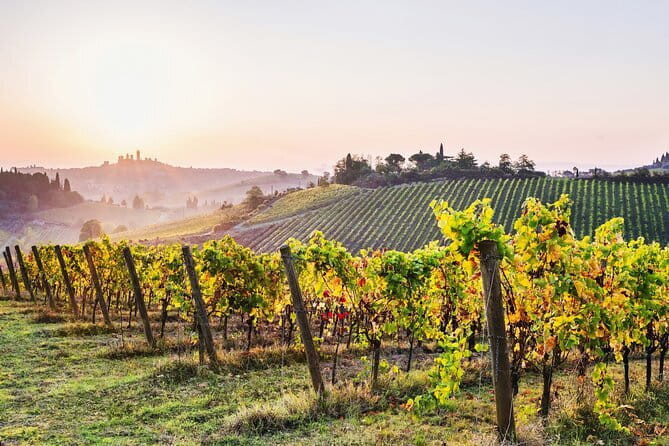 Florence Day Trip to Siena & San Gimignano with Scenic Views - Free time or guided sightseeing?