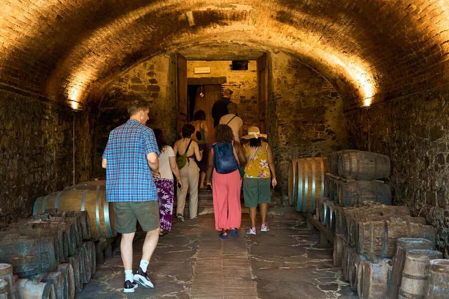 Florence: Great Chianti Wine and Olive Oil Trail with Lunch - Greve in Chianti gives you a short village pause