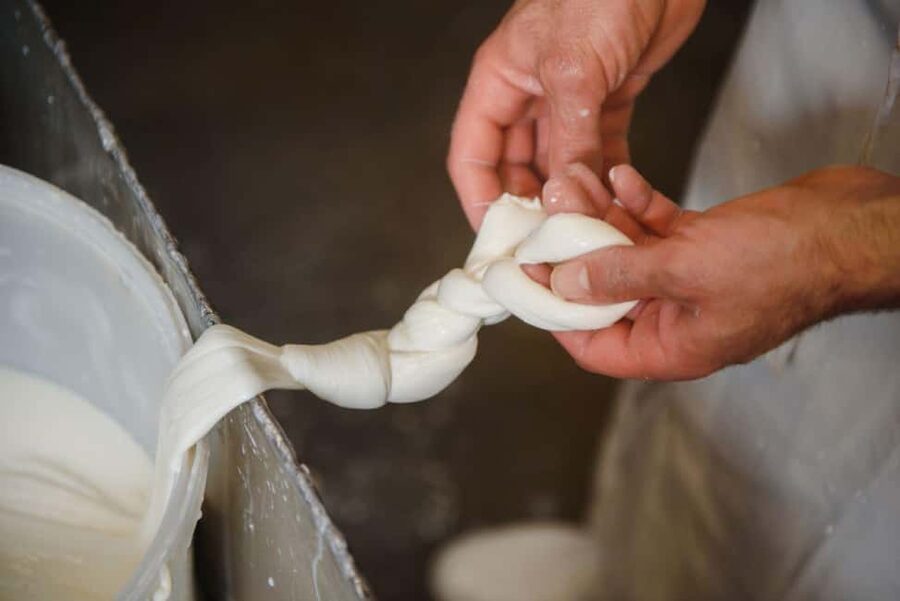 Florence: Mozzarella Making Workshop with Wine Tasting - Quick takeaways from the cheese table