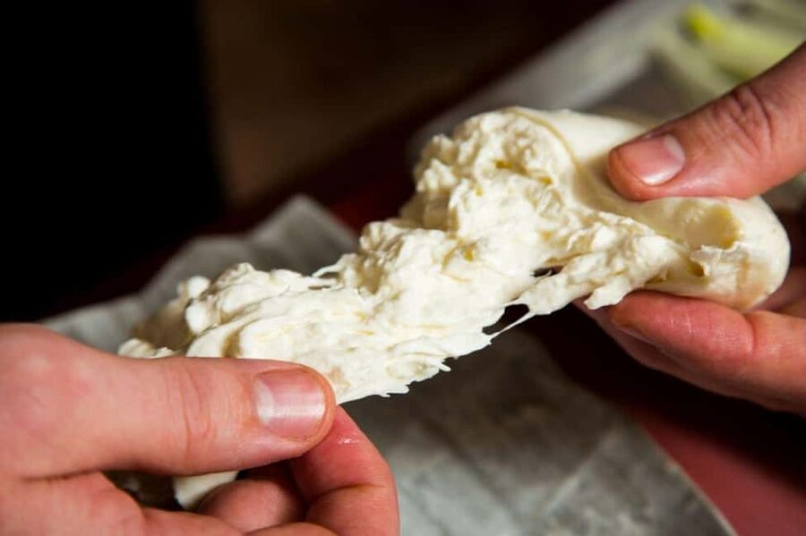 Florence: Mozzarella Making Workshop with Wine Tasting - Turning fresh curds into mozzarella shapes