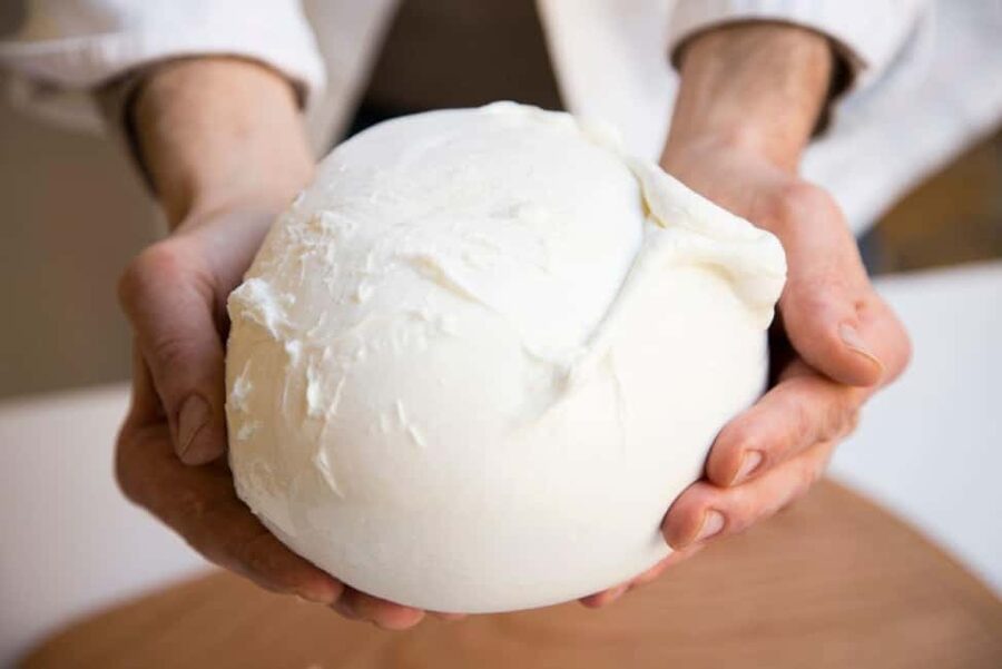 Florence: Mozzarella Making Workshop with Wine Tasting - Eating your work with seasonal dishes