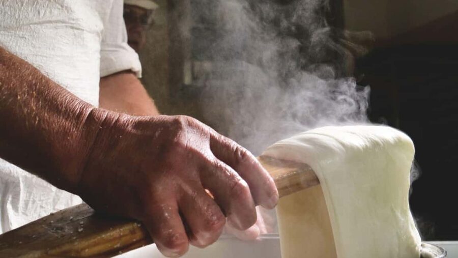 Florence: Mozzarella Making Workshop with Wine Tasting - Is $74 a fair price in Florence?