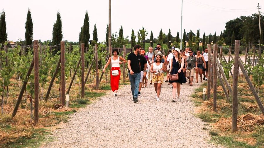 Florence: S. Gimignano, Siena, Chianti Wine Tasting & Lunch - Who should book this Tuscan day trip?