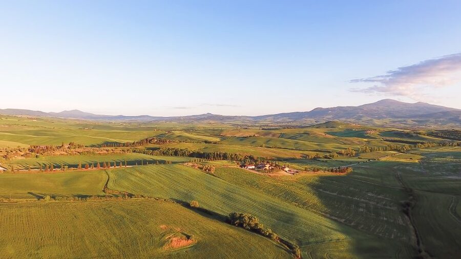 Florence: S. Gimignano, Siena, Chianti Wine Tasting & Lunch - A Chianti winery lunch with local wine