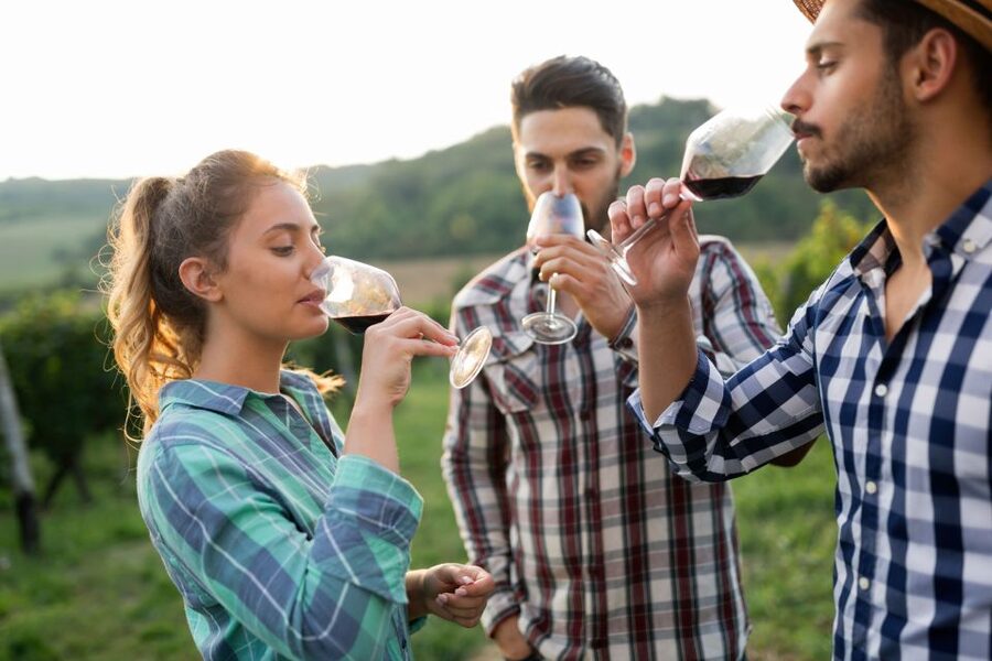 Florence: Wineries, Tastings, Lunch & San Gimignano Day Trip - Tuscan lunch with the second tasting