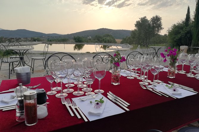 Food and Wine pairing Dinner at Karnas Vineyards Bodrum - Leaving Bodrum for the Karaova vineyards