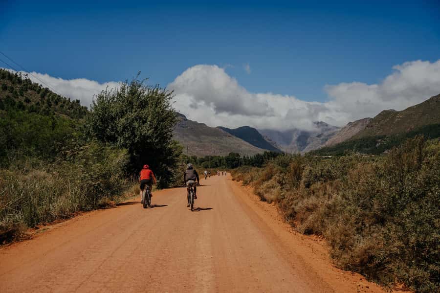 Franschhoek: E-Bike Guided Winery Tour - The second winery and the final ride home