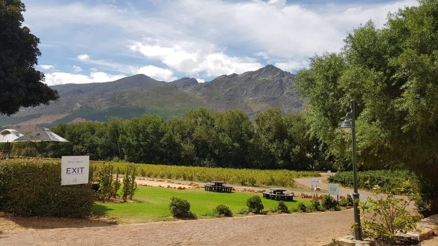 Franschhoek & Stellenbosch: Full-Day Wine Tour - Cheese, biltong and chocolate with the wine