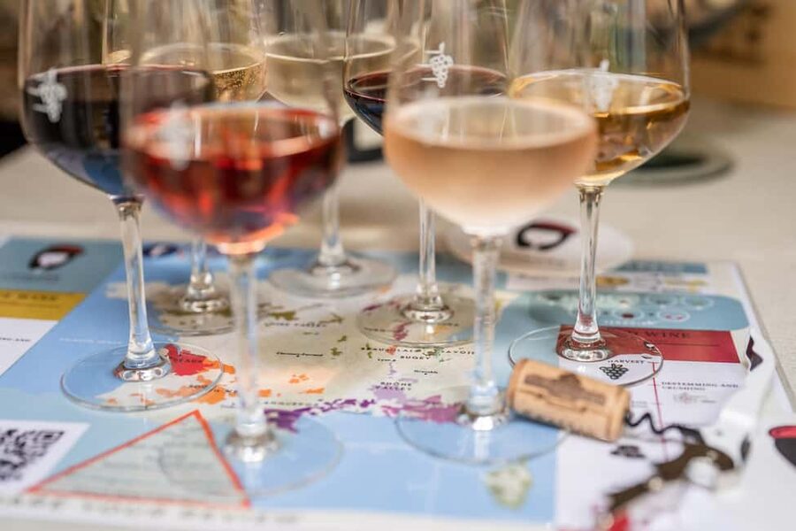 Frecnh Wine Tasting in City Center of Nice - Cheese, snacks, and the difference food makes