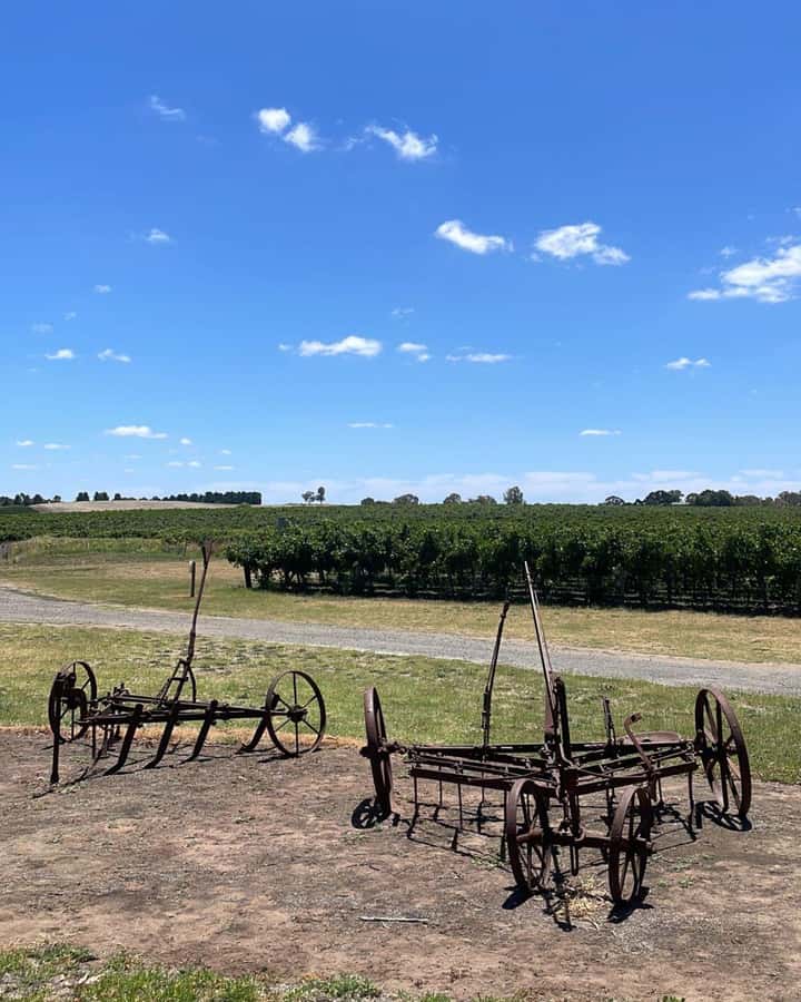 From Adelaide: Barossa to Hahndorf Wine Tasting and Lunch - Chateau Tanunda and the first wine tasting