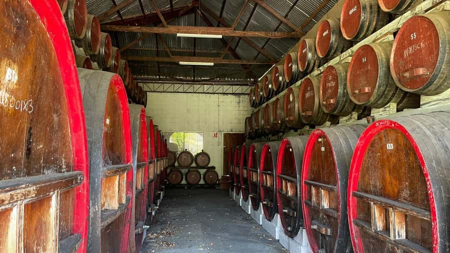 From Adelaide: Barossa to Hahndorf Wine Tasting and Lunch - Hahndorf after the vineyards