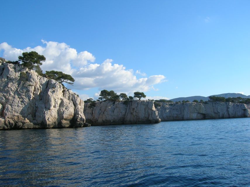 From Aix: Cassis Boat Ride & Provence Wine Tasting Day Tour - Walking through Cassis port and old streets
