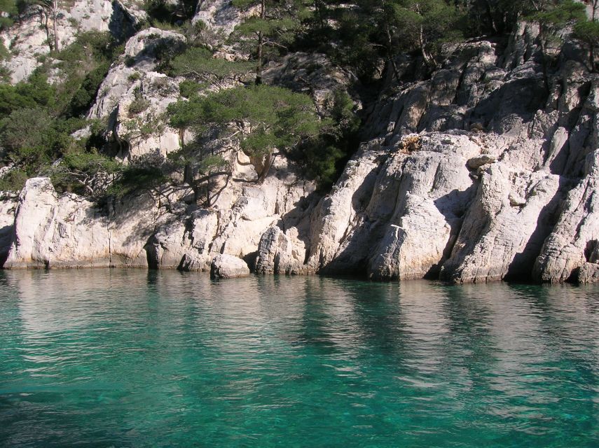 From Aix: Cassis Boat Ride & Provence Wine Tasting Day Tour - Tasting Cassis wines at a local winery