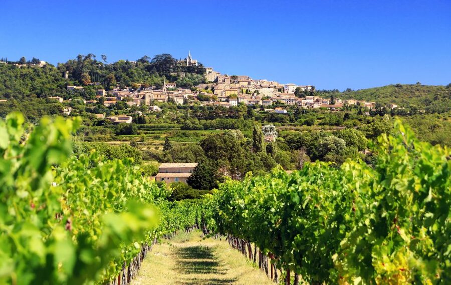 From Aix-en-Provence: Half-Day Wine Tour - Key points to know before booking