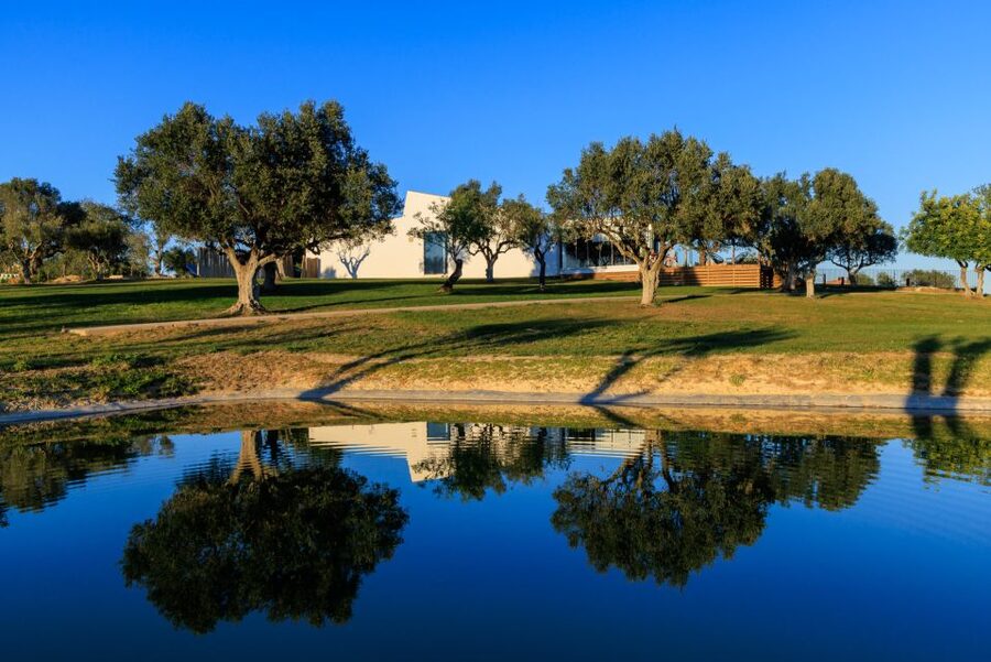 From Albufeira: 4x4 Off-Road Safari & Vineyard Wine Tasting - Value at $68 per person