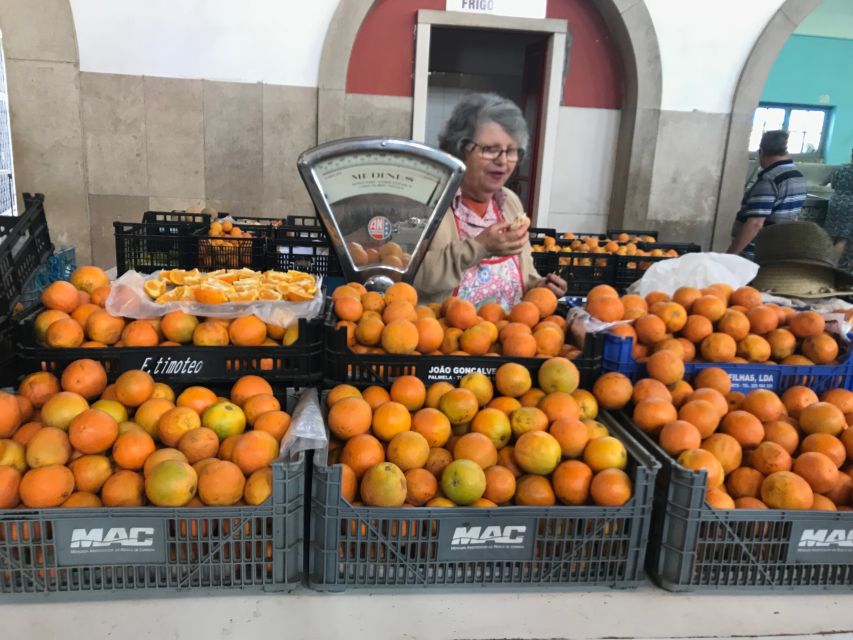 From Albufeira: Wine Tasting & Historic Silves Tour - Three wines, snacks, and a relaxed tasting