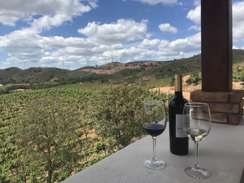 From Albufeira: Wine Tasting & Historic Silves Tour - Timing, comfort, and useful preparation