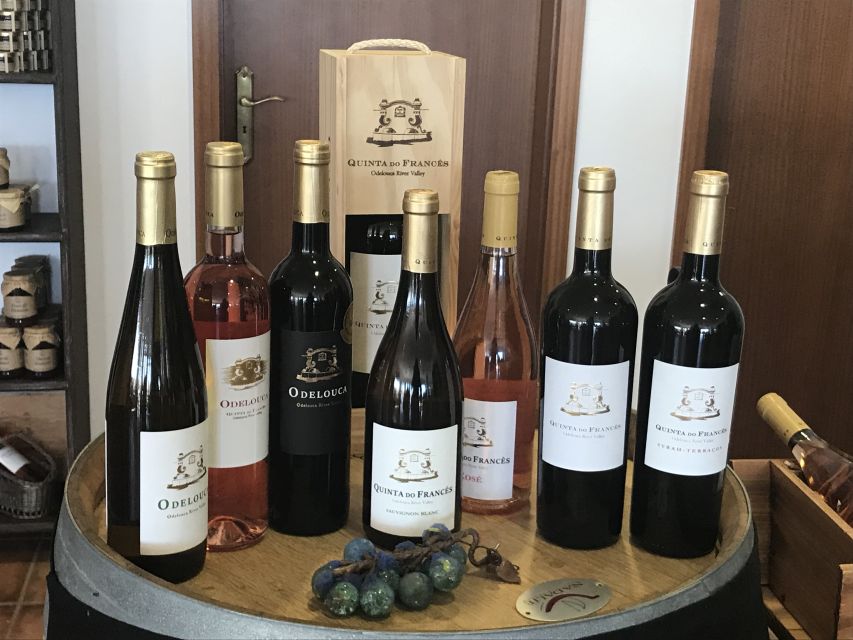 From Albufeira: Wine Tasting & Historic Silves Tour - Who should book this Algarve wine tour?