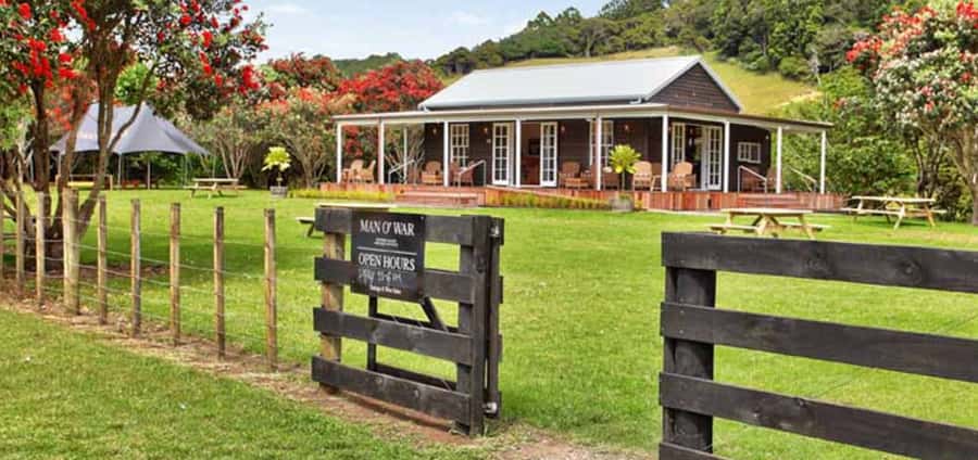 From Auckland: Waiheke Island Wineries' Tour - The small van and the people around you
