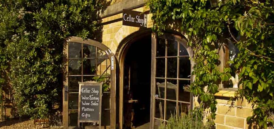 From Auckland: Waiheke Island Wineries' Tour - Who should book this Waiheke tour