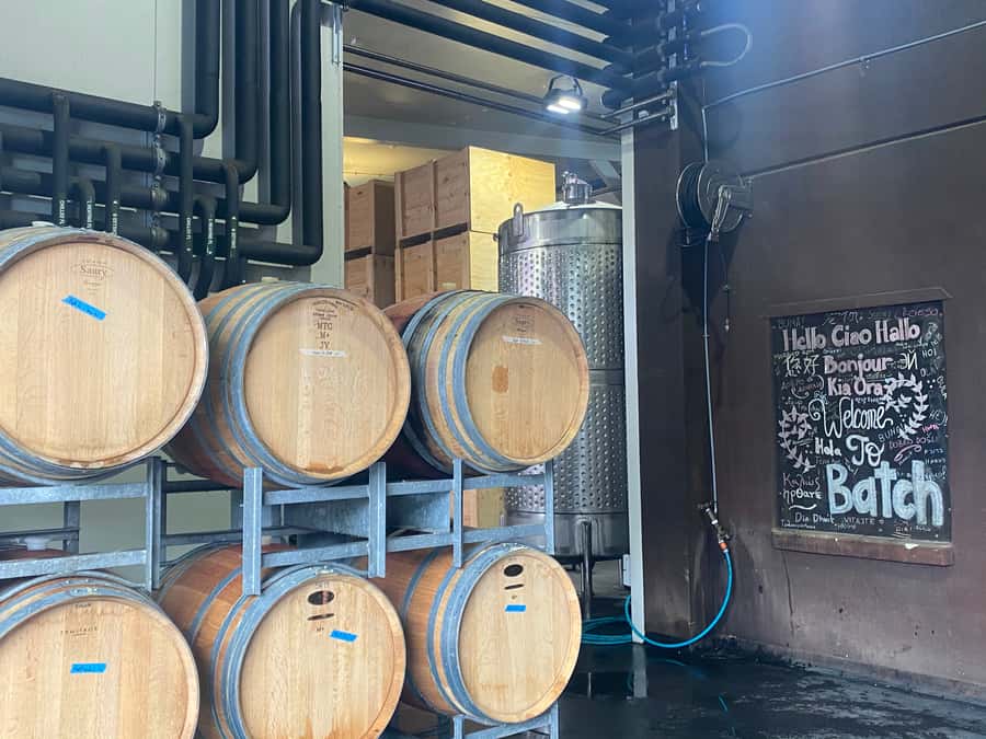 From Auckland: Waiheke Island Wineries' Tour - The return to Auckland