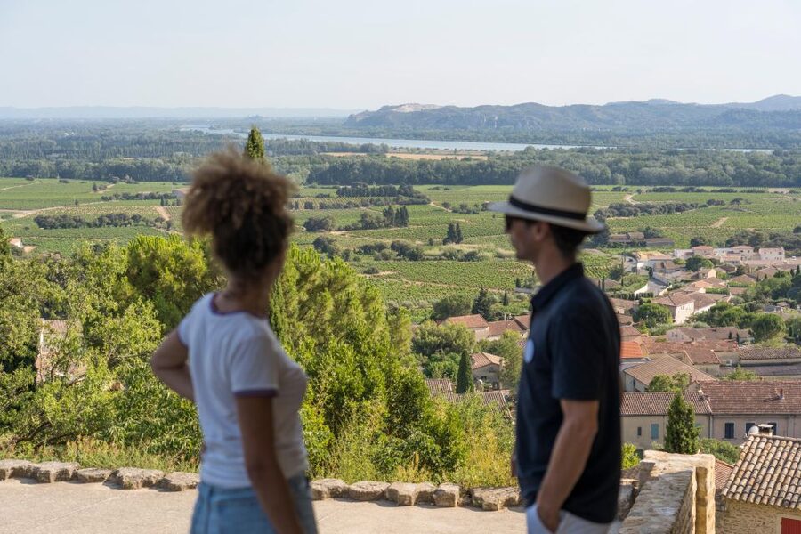 From Avignon: Châteauneuf du Pape Half-Day Wine Tour - Key points to know before booking